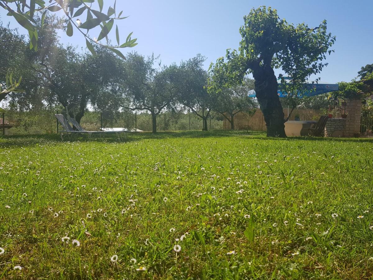 Vila Casa Istria Buje Exteriér fotografie